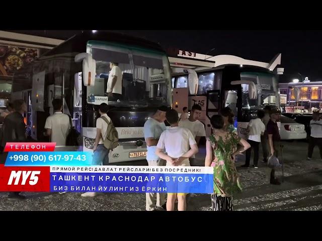 краснодар ташкент автобус. krasnodar Tashkent avtobus #krasnodar #tashkent #avtobus #краснодар