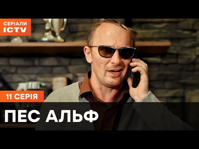 Пес Альф 1 сезон 11 серія | ДЕТЕКТИВИ | СЕРІАЛ  ICTV| КОМЕДІЇ