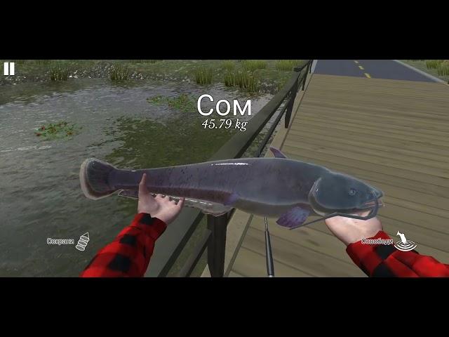 ultimate fishing simulator (android) классное место для ловли крупной рыбы