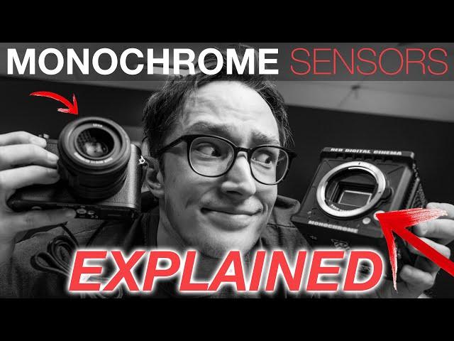 EXPLAINED: Monochrome Sensors (Leica Q2 + Red Komodo 6K)