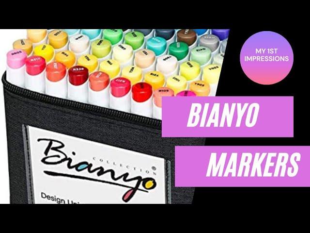 BEAUTIFUL COLORS!! | Bianyo Markers ~ My 1st Impressions