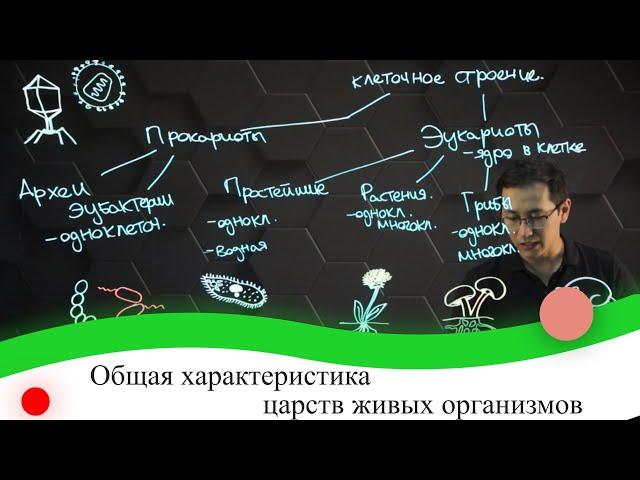 Общая характеристика царств живых организмов. 7 класс.