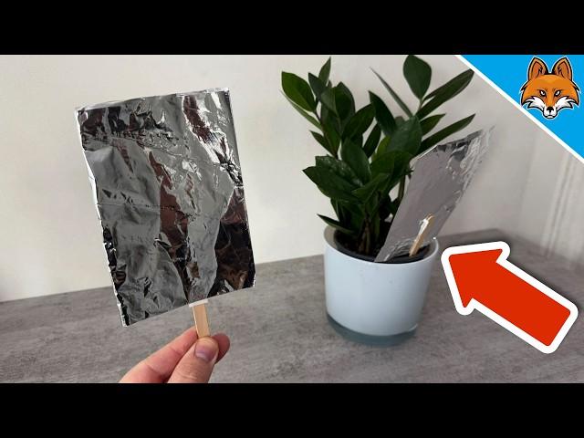 Stick Tin Foil in your Flowers and WATCH WHAT HAPPENS(Amazing)