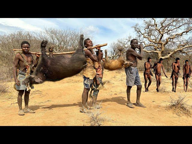 Hadzabe Tribe | Bush Pig Hunt And Cooking. hunter's life