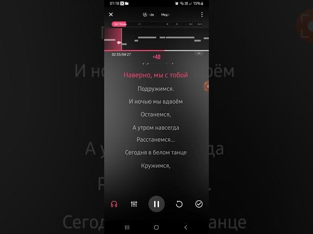 Медляк. Mr.Credo . Караоке