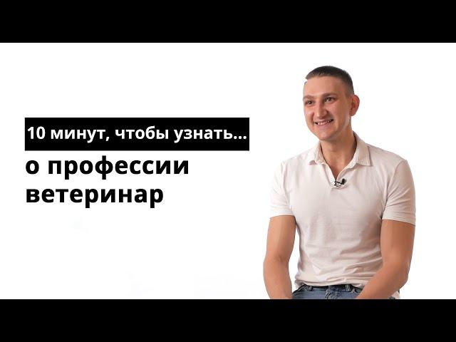 10 минут, чтобы узнать о профессии ветеринар