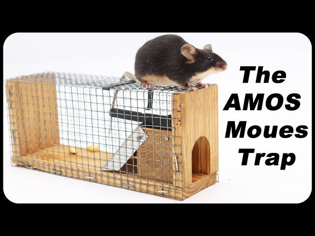 I Love This Mouse Trap Idea - The AMOS Machine Mousetrap Catches Mice in the barn Mousetrap Monday