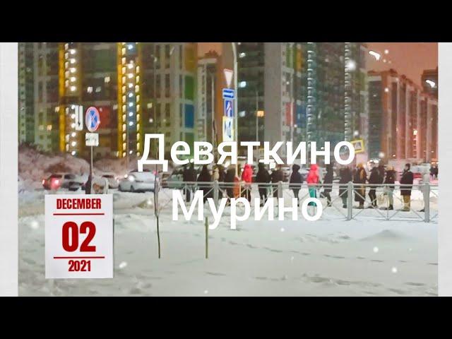 Девяткино,Мурино 1 декабря 2021