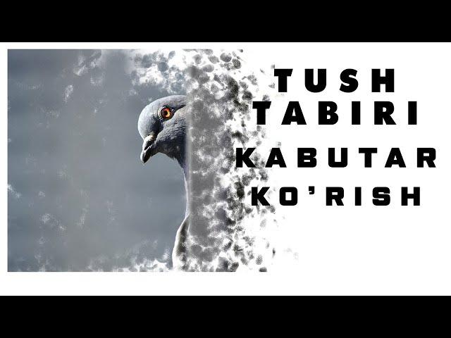 Tushda Kabutar Ko'rish Tabiri