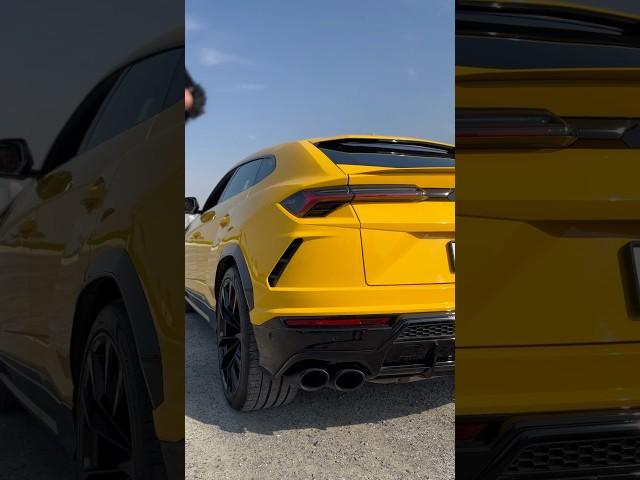 Как думаете сколько лошадиных сил? #auto #cars #luxurycars #lamborghini #urus #lambo #v8 #v10 #v12