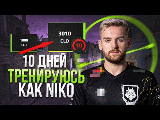 10 ДНЕЙ ТРЕНИРОВАЛСЯ как NiKo КС ГО, РЕЗУЛЬТАТ МЕНЯ УДИВИЛ..