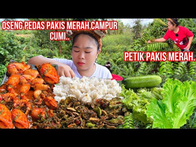 PETIK PAKIS MERAH,LANGSUNG MASAK OSENG PEDAS PAKIS MERAH CUMI,SAMBAL PETAI SAMA KULITNYA CAMPUR PARE