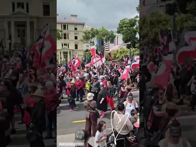 Tens of Thousands of People Protest Against Treaty Bill Outside New Zealand Parliament