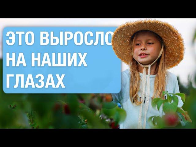 Какой урожай собрали на ферме? Экскурсия от агронома | Гастродача Вселуг