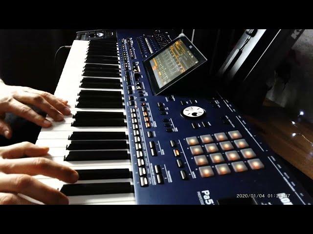 New Korg Style - Music For Soul  Instrumental ( Danekoo1 & Korg Pa5x Musicant ) 2025