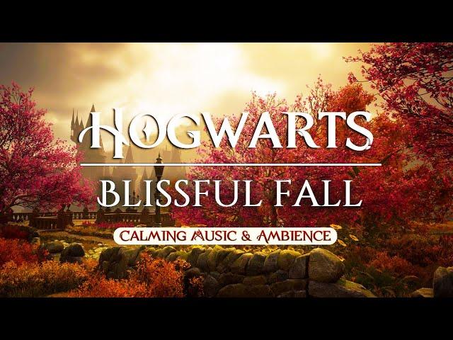 Autumn at Hogwarts | Calming Harry Potter Music & Cozy Fall Ambience #relax #study