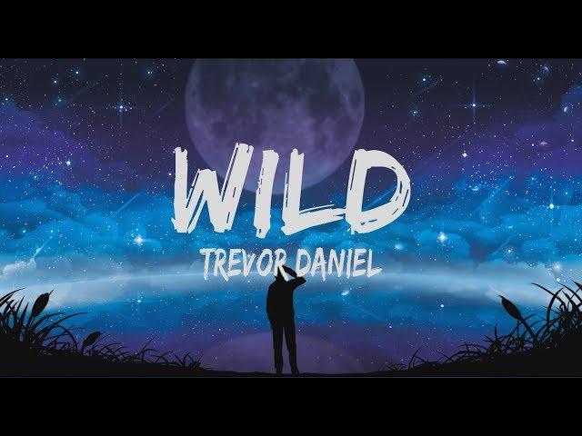 Trevor Daniel - Wild (Lyrics)