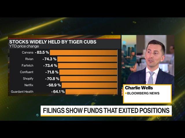 Hedge Funds That Piled Into Tech Have Tanked