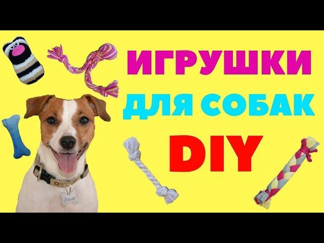 ИГРУШКИ ДЛЯ СОБАК СВОИМИ РУКАМИ | ТЕСТ ДРАЙВ ИГРУШЕК НА ДЖЕК РАССЕЛ ТЕРЬЕРАХ