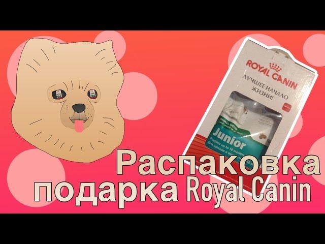 MollyTv | подарок от Royal Canin