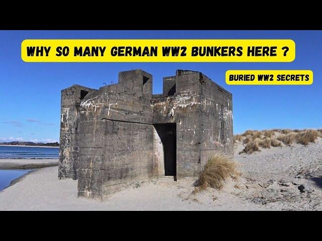 Why German WW2 bunkers all over the beach here ? Secrets in the ground..