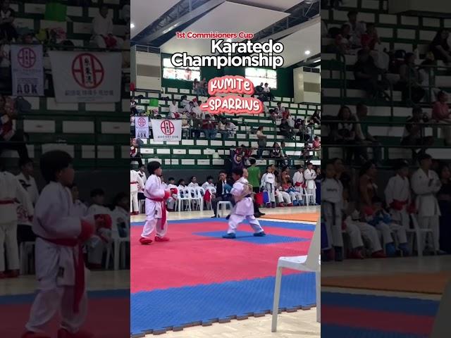 #karatedo #kumite #karatekumite #karate #sparring Karatedo Championship Tournament 8-9 years old