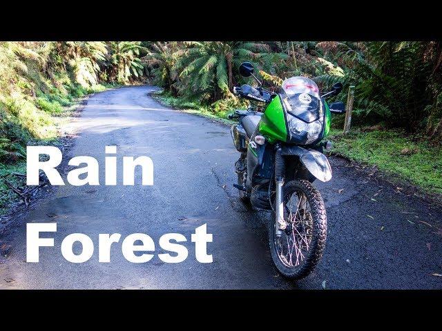 Tarra Valley Rain Forest & Ninety Mile Beach | Season 9 | Episode 17