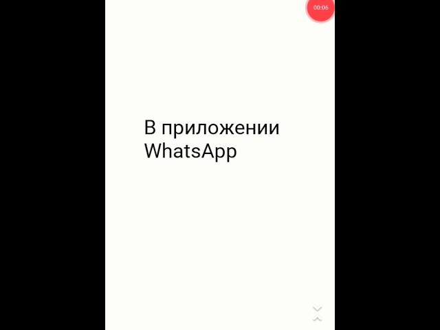 Функции WhatsApp (для новичков)