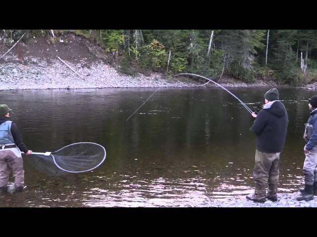 A great lesson in how to land a big salmon