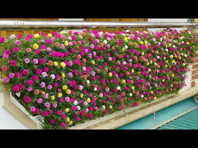 Creative Balcony Garden, Turn Your Balcony Into A Beautiful Garden With Plastic Bottles