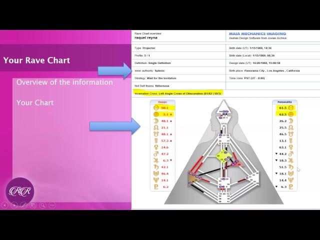 Human Design Basics (learning to read your chart)