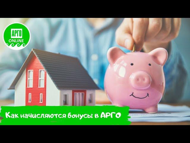 Как начисляются бонусы в АРГО? Фаза 1 маркетинг-плана Арго в примерах