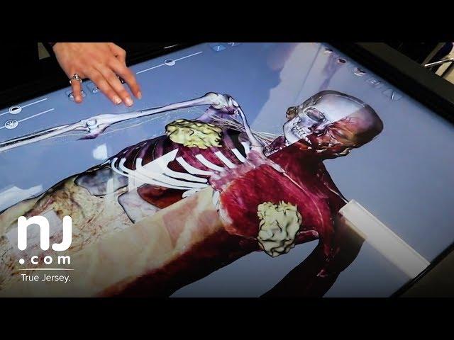 Digital table lets students do virtual dissection