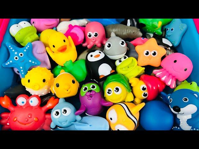 Learn Sea Animal Names | Sea Animals for Kids | Sea Creatures for Kids | Sea Animal Toys