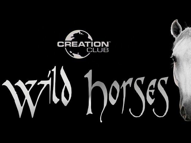 Skyrim Creation Club Wild Horses Locations And Review