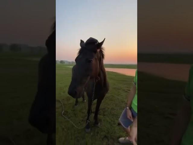Каким я буду в старости 
