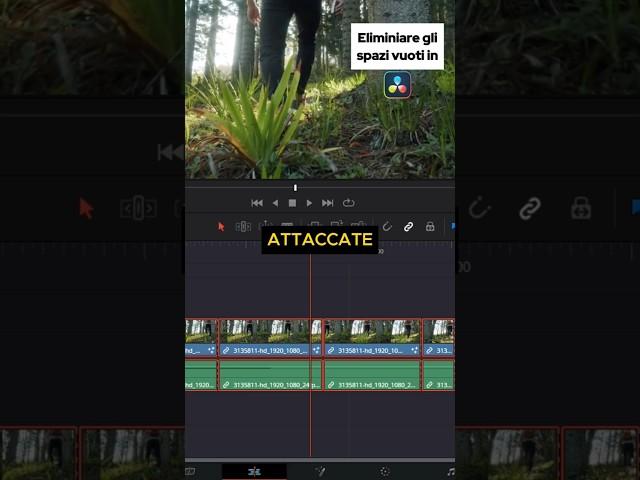 Rimuovere gli spazi vuoti in DaVinci Resolve #davinciresolve #tutorial