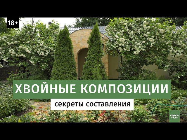 Хвойная композиция в саду. Секреты составления.