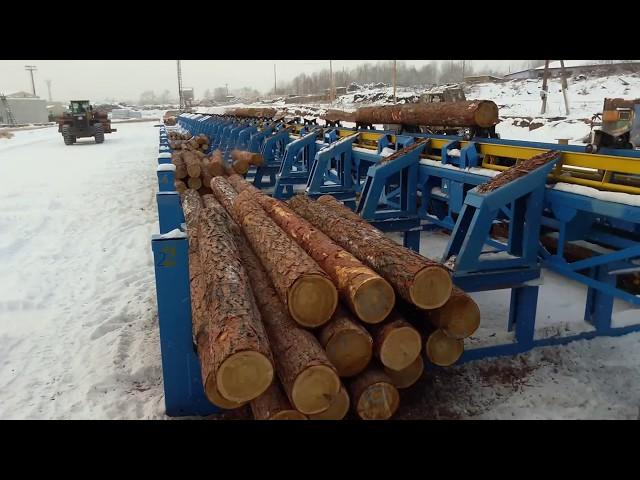 Сброска в карман бревен , производства ЗАО Лесмаш.