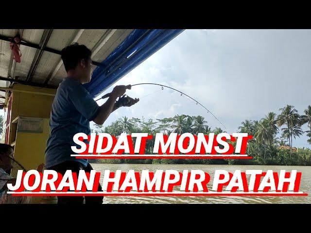 TARIKAN BABON IKAN SIDAT CITANDUY BIKIN KETAGIHAN