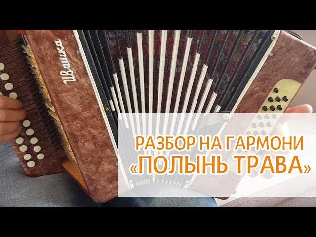 Разбор песни на гармони "Полынь трава" - Иван Разумов