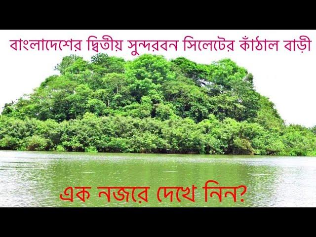 বাংলাদেশের দ্বিতীয় সুন্দরবন সিলেটের কাঁঠাল বাড়ী.#Star Zone BD chanel.