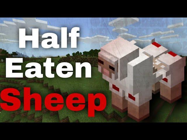 Minecraft creepypasta:HALF EATEN SHEEP