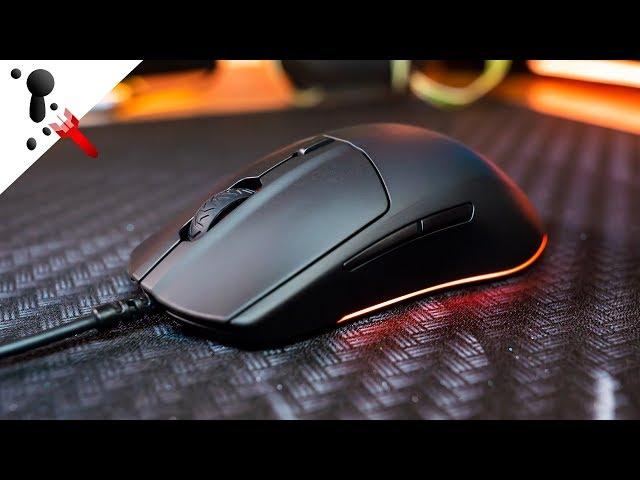 SteelSeries Rival 3 Review | great cheap 80g medium sized mouse