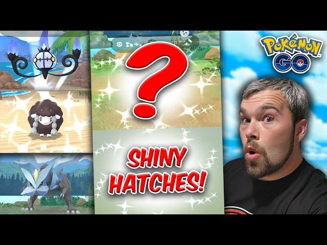 Catching & Hatching Rare Shiny Pokémon! I really didn't expect THIS! (Pokémon GO)