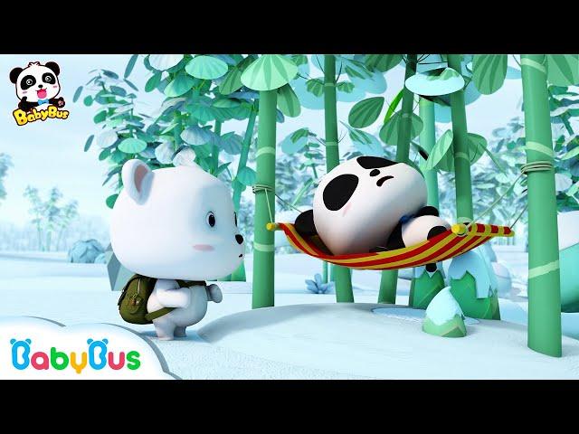 Clever Panda Baby | Who is the real Panda Kiki? | Indonesian Language | BabyBus