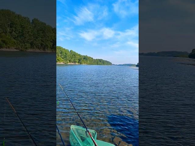 Снаряжение на рыбалке ничего не решает #рыбалка #fishing #улов #снаряжение