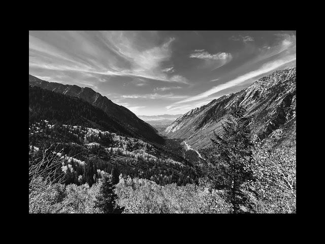 Nicholas Newell - Why We Fall