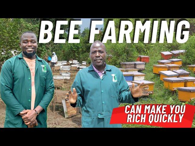 BeeKeeping Can Make You Rich In Six Months; Here are Tips On How To Start