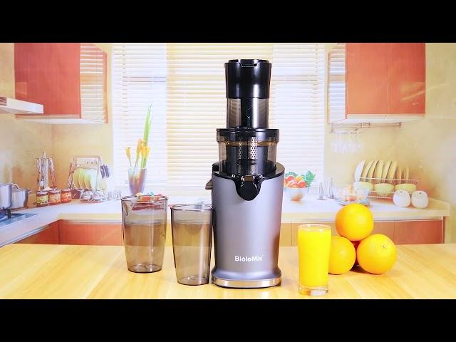 BioloMix Slow Juicer SJ-017